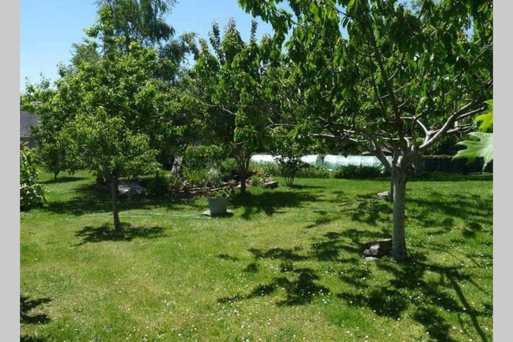 La Grange De Salvaneix Gite Pour 15 Personnes 7 Chambres Avec 6 Sdb-6Wc Sarran Zewnętrze zdjęcie